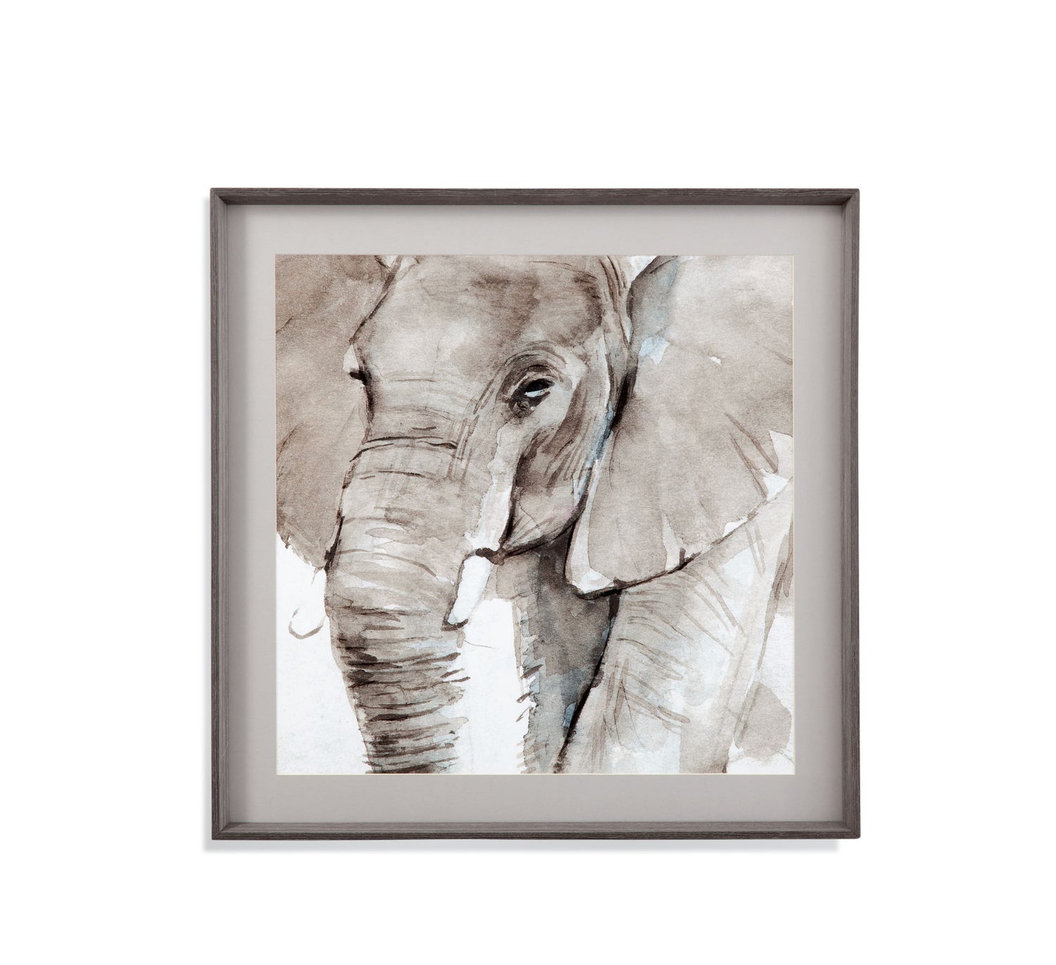Elephant Grooves I Framed Print - Gray