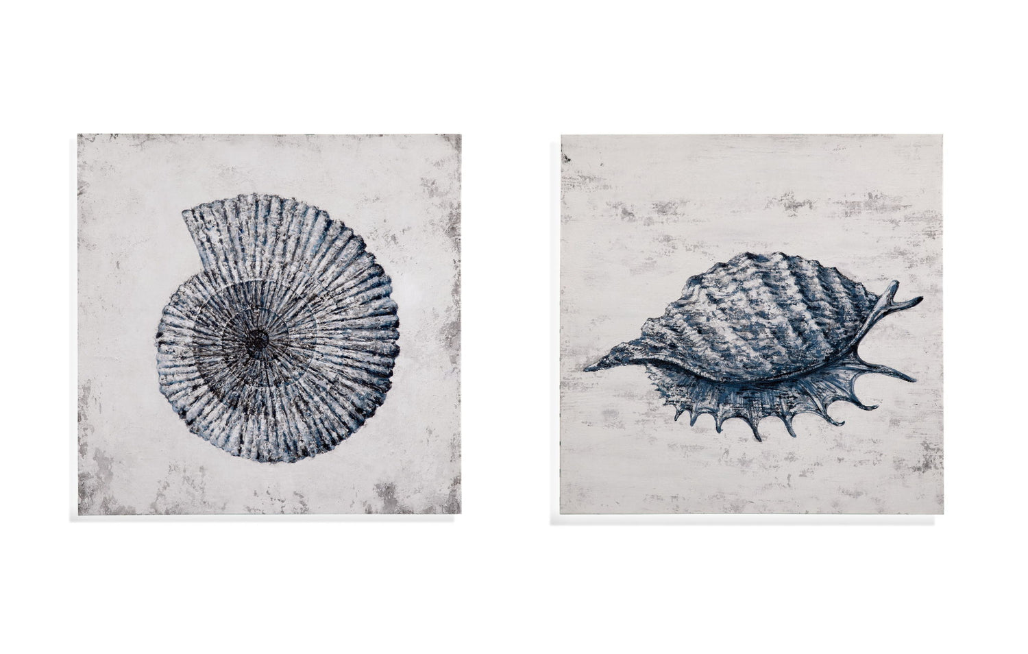 Shell II Canvas Art - Blue