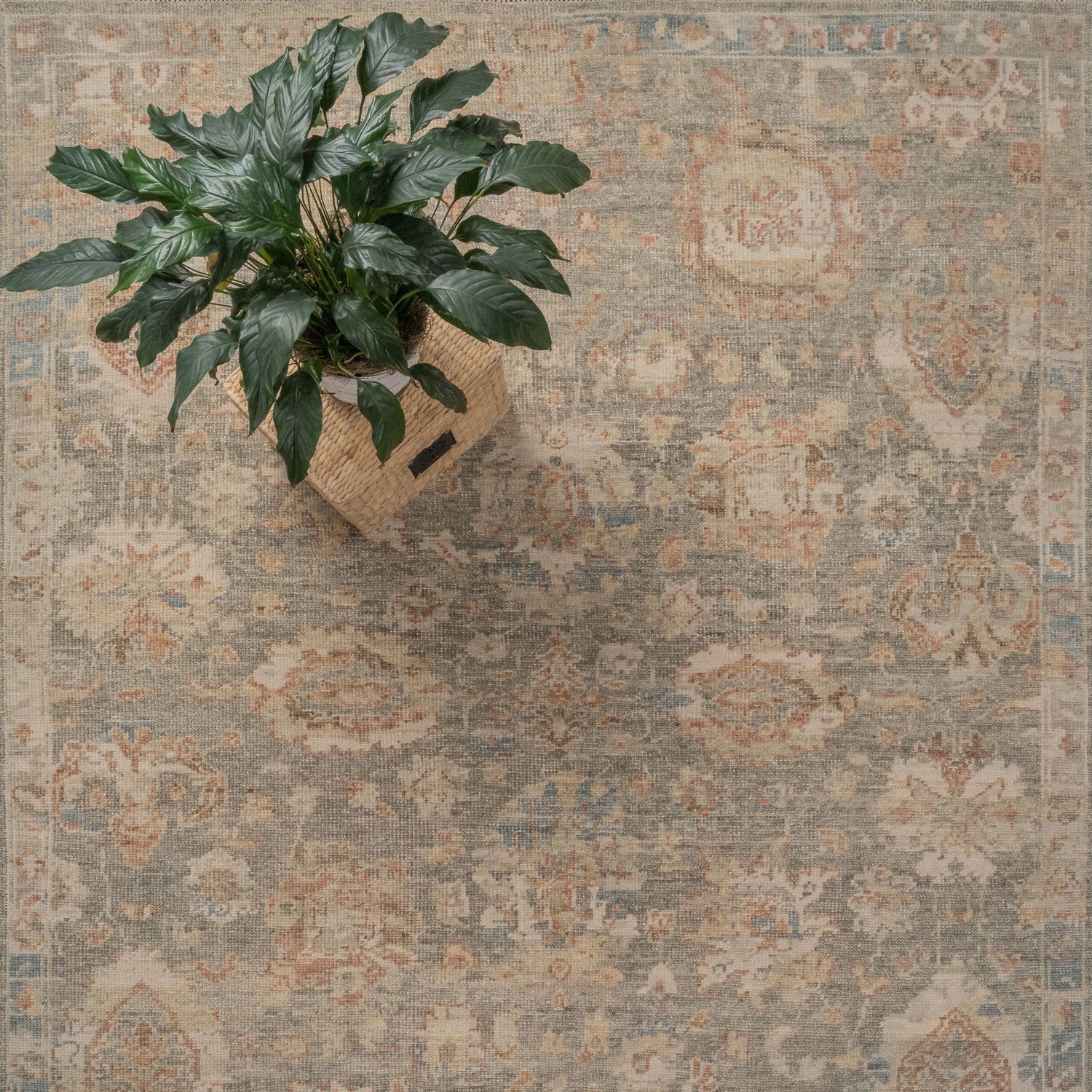 Braymore-Amara - Hand Knotted Rug