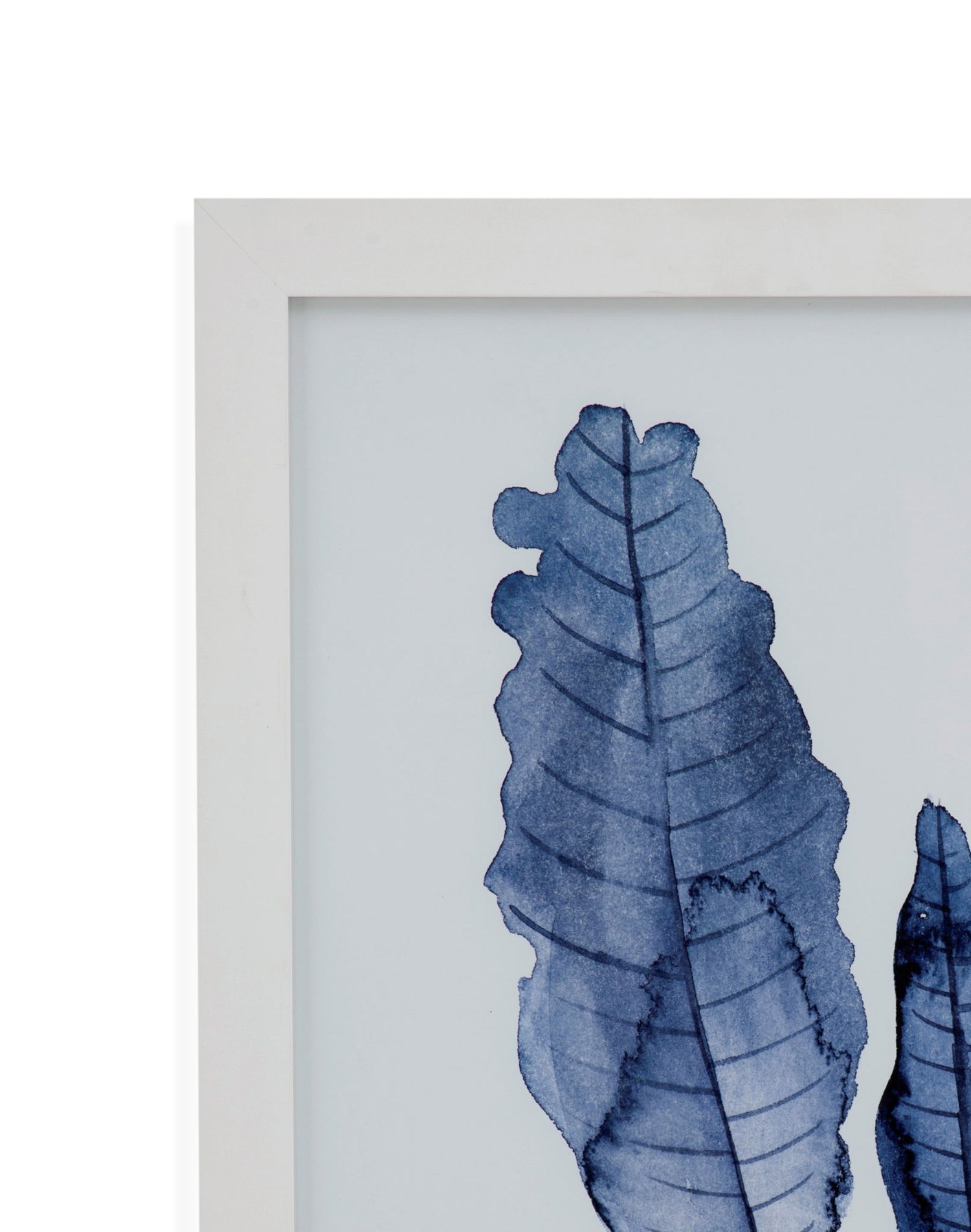 Seaweed Under Water IV Framed Print - Blue