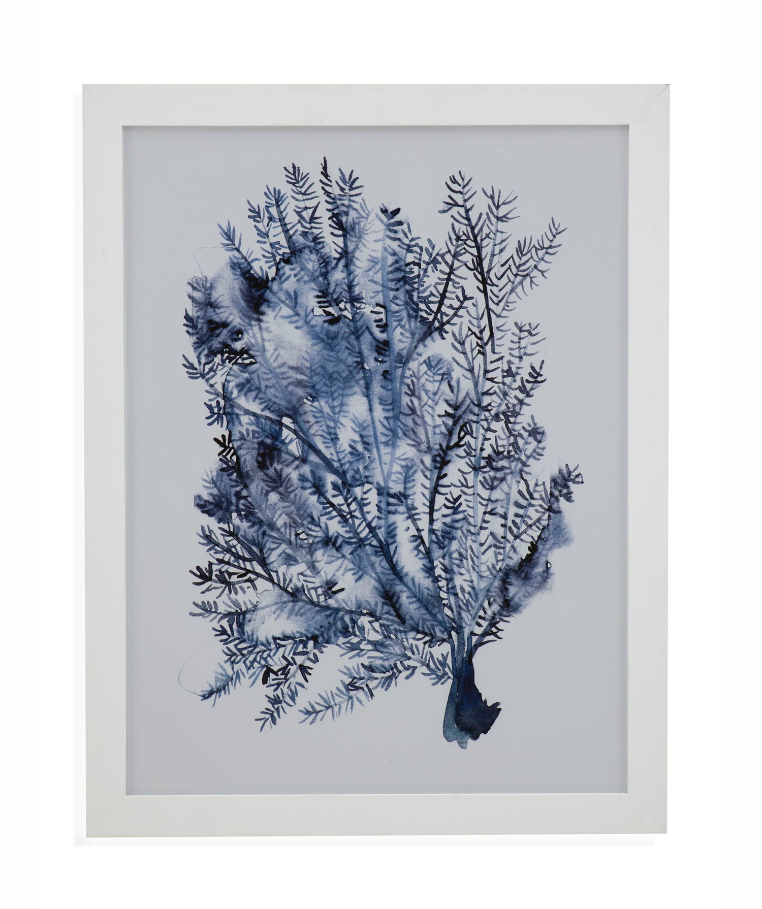 Seaweed Under Water II Framed Print - Blue