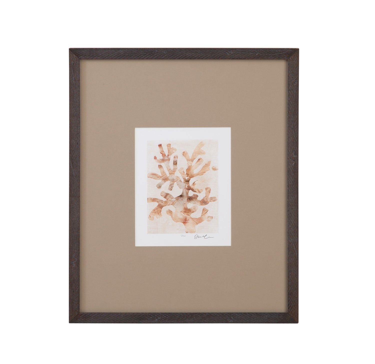 Parchment Coral I Framed Print - Brown