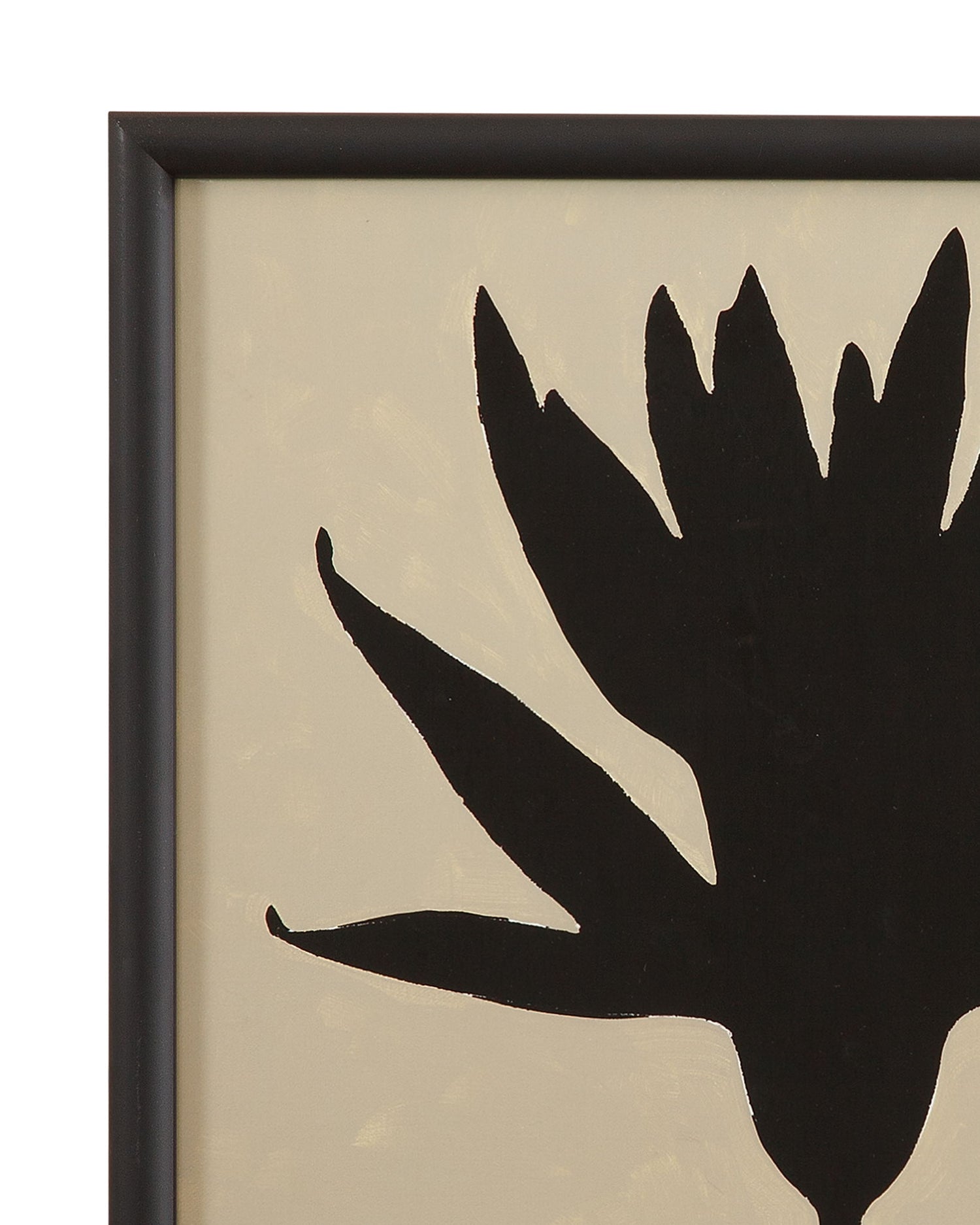 Contrast Lily II Framed Print - Beige / Black