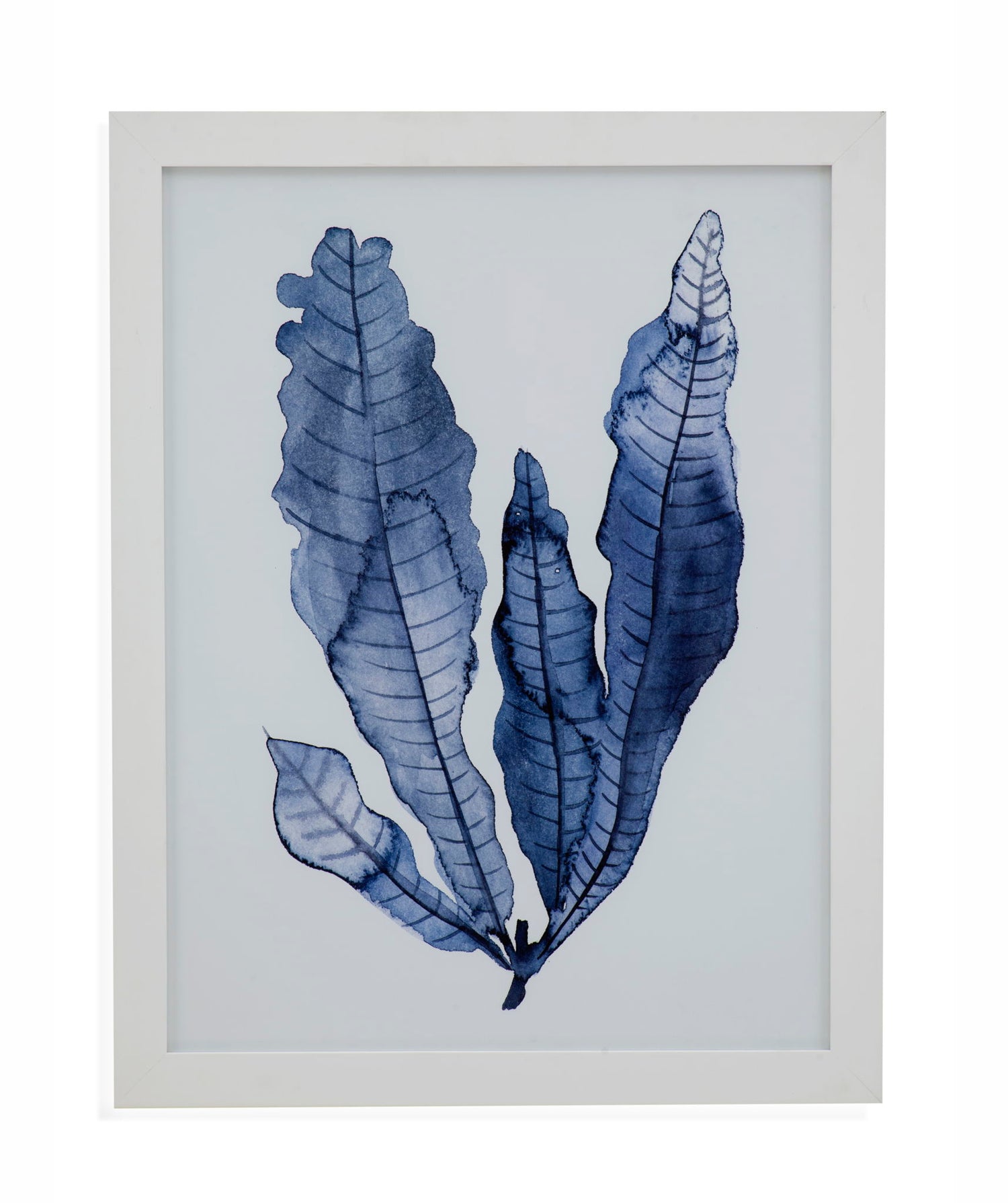 Seaweed Under Water IV Framed Print - Blue