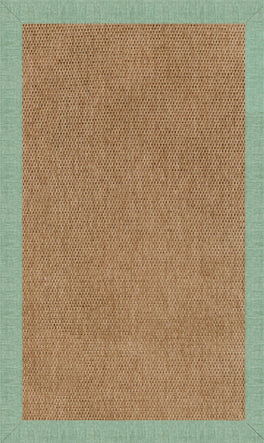 Islamorada-Basketweave - Indoor/Outdoor Bordered Rug - Rave Spearmint