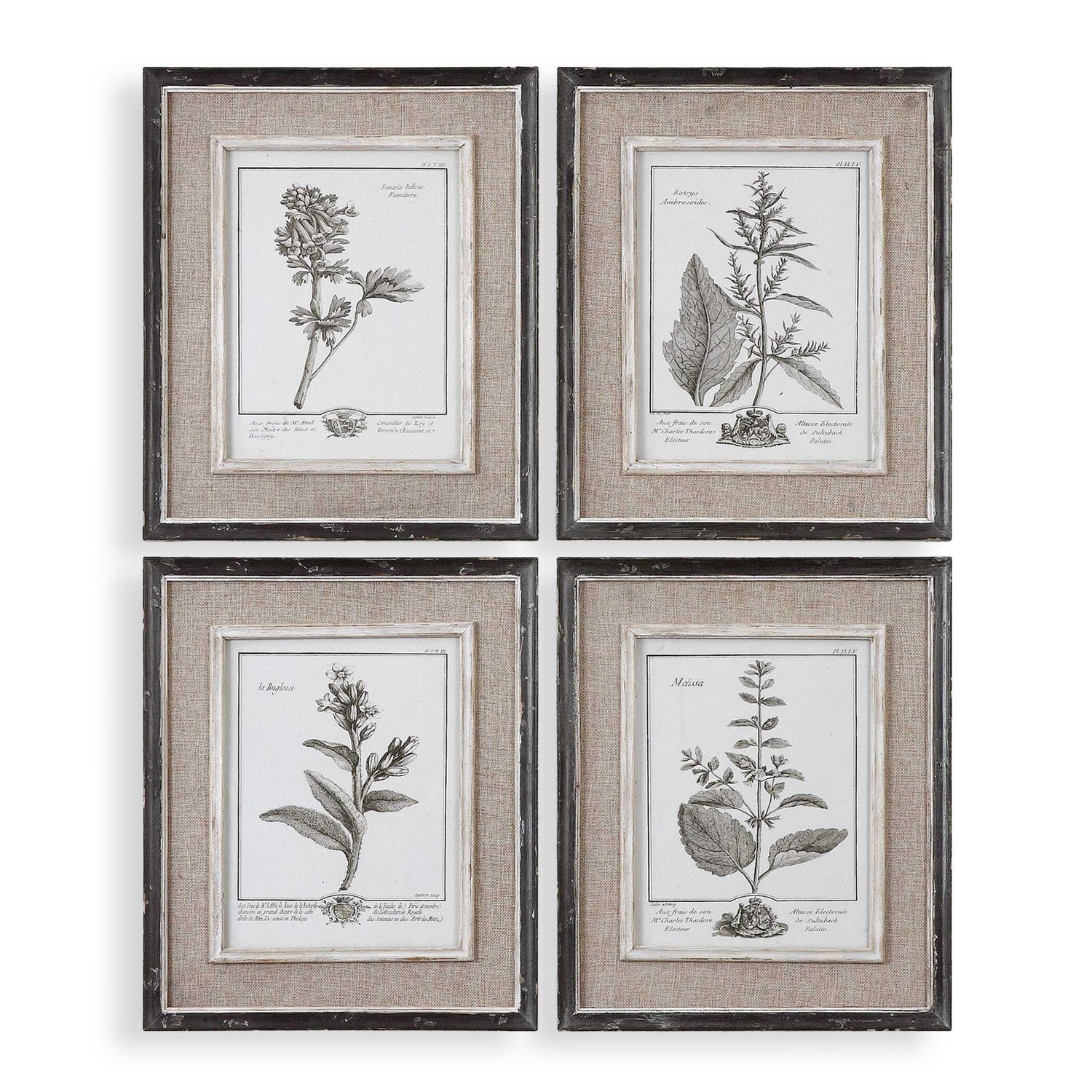 Casual Grey Study - Framed Art (Set of 4) - Beige