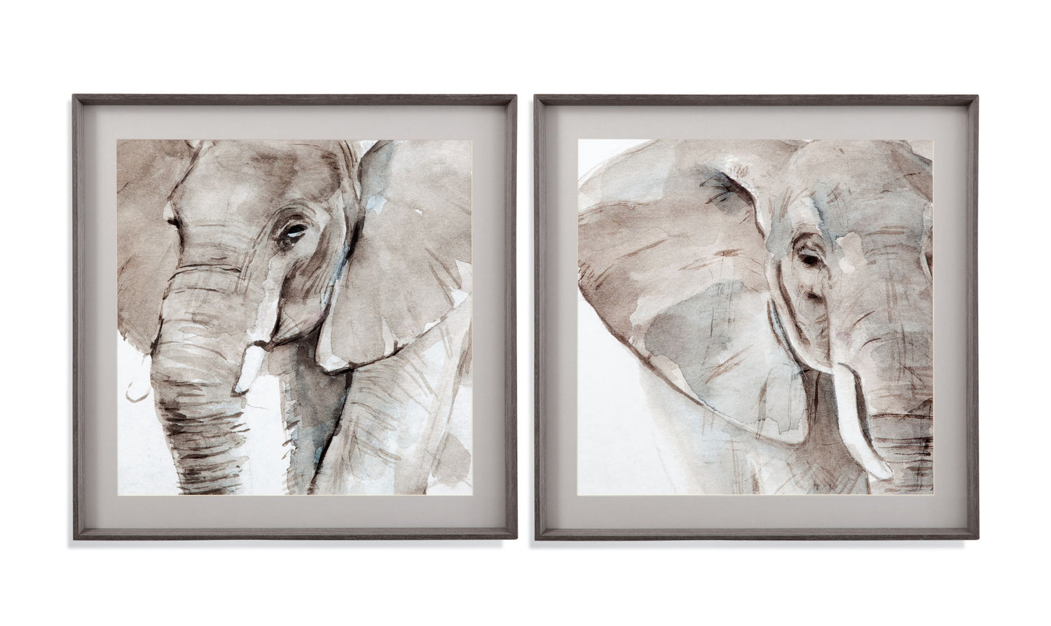Elephant Grooves Framed Print (Set of 2) - Gray