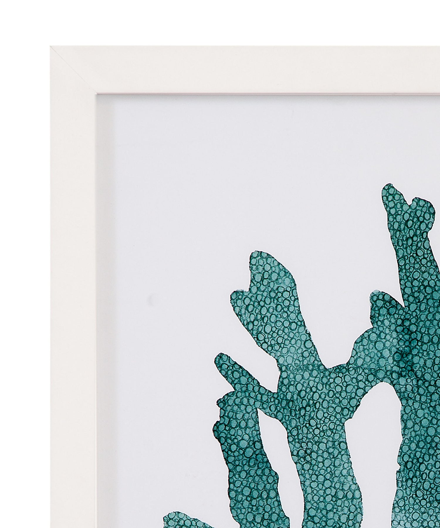 Coral Souvenirs I Framed Print - Green