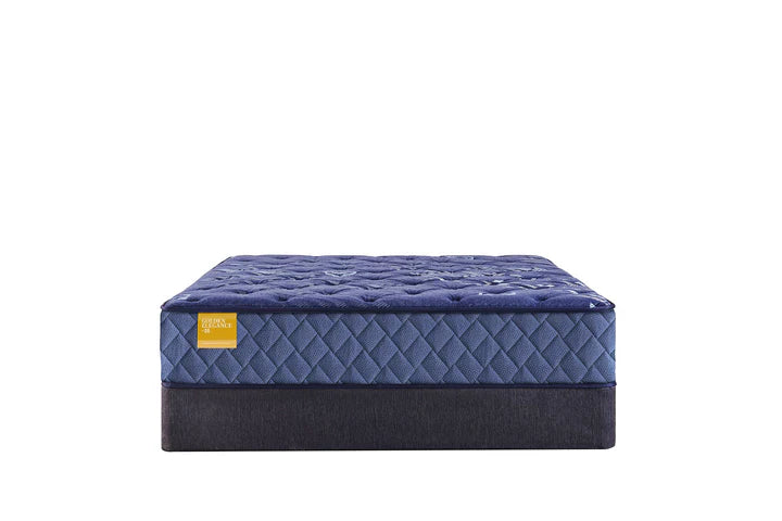 Sealy Forstyh Park Medium