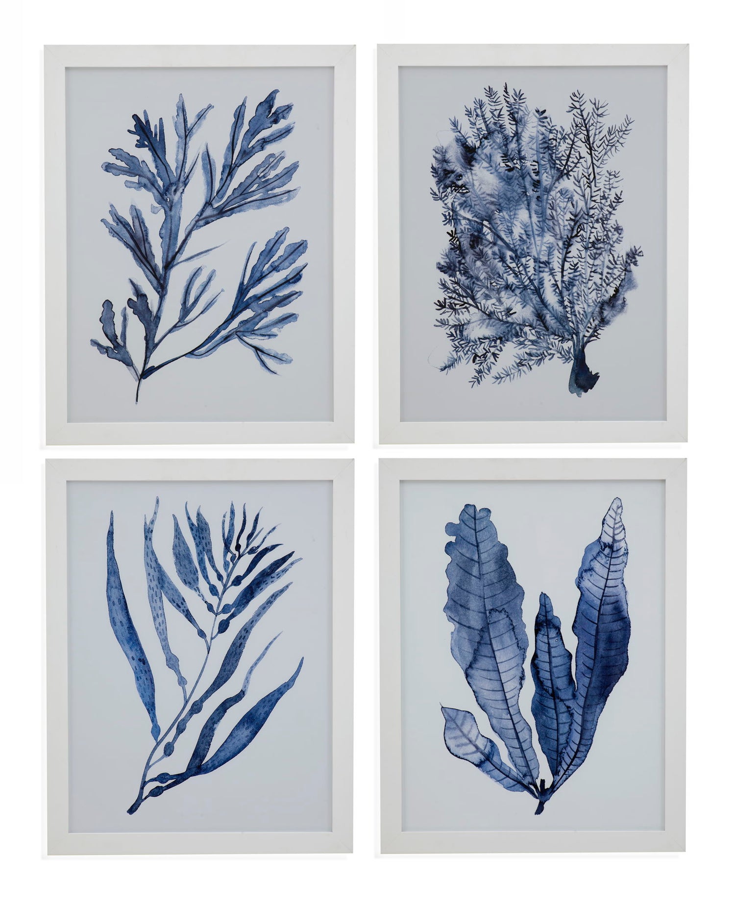 Seaweed Under Water I Framed Print - Blue
