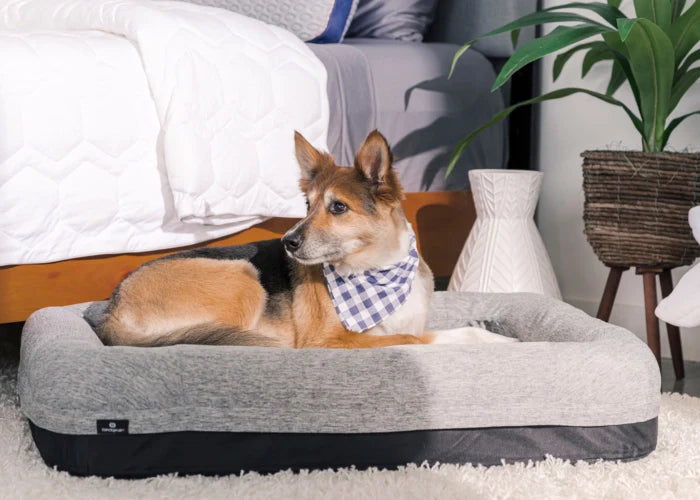 Performance® Pet Bed - Small