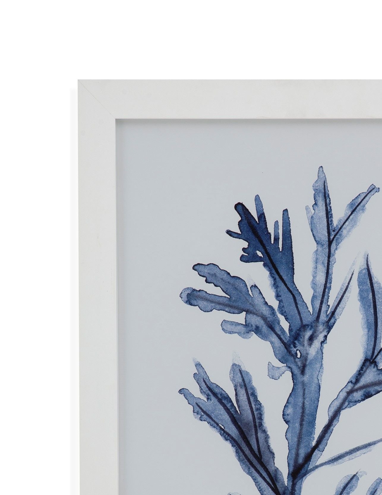Seaweed Under Water Framed Print (Set of 4) - Blue
