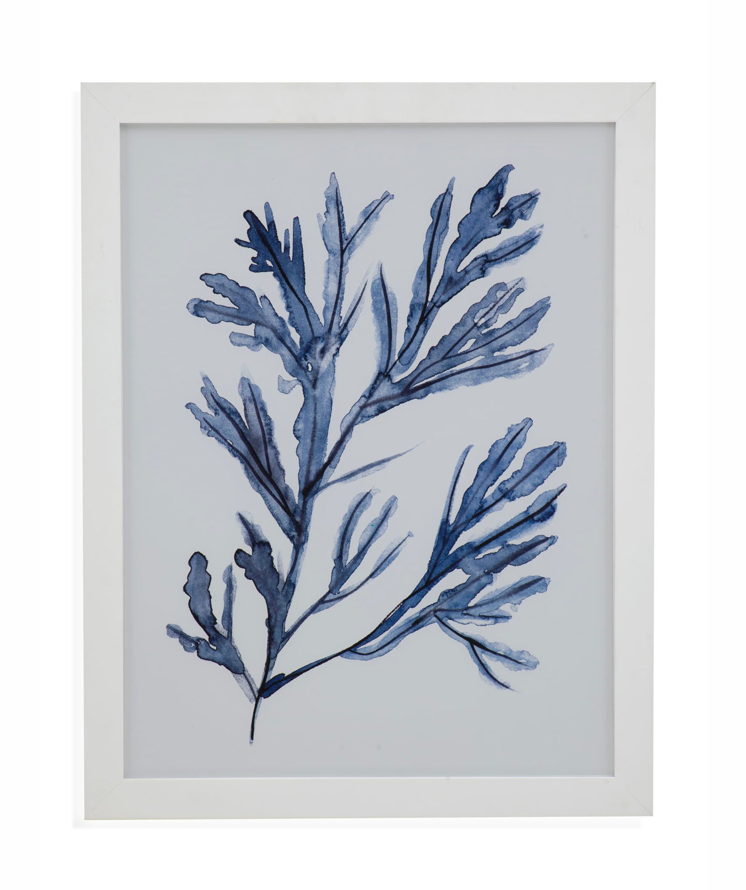 Seaweed Under Water I Framed Print - Blue