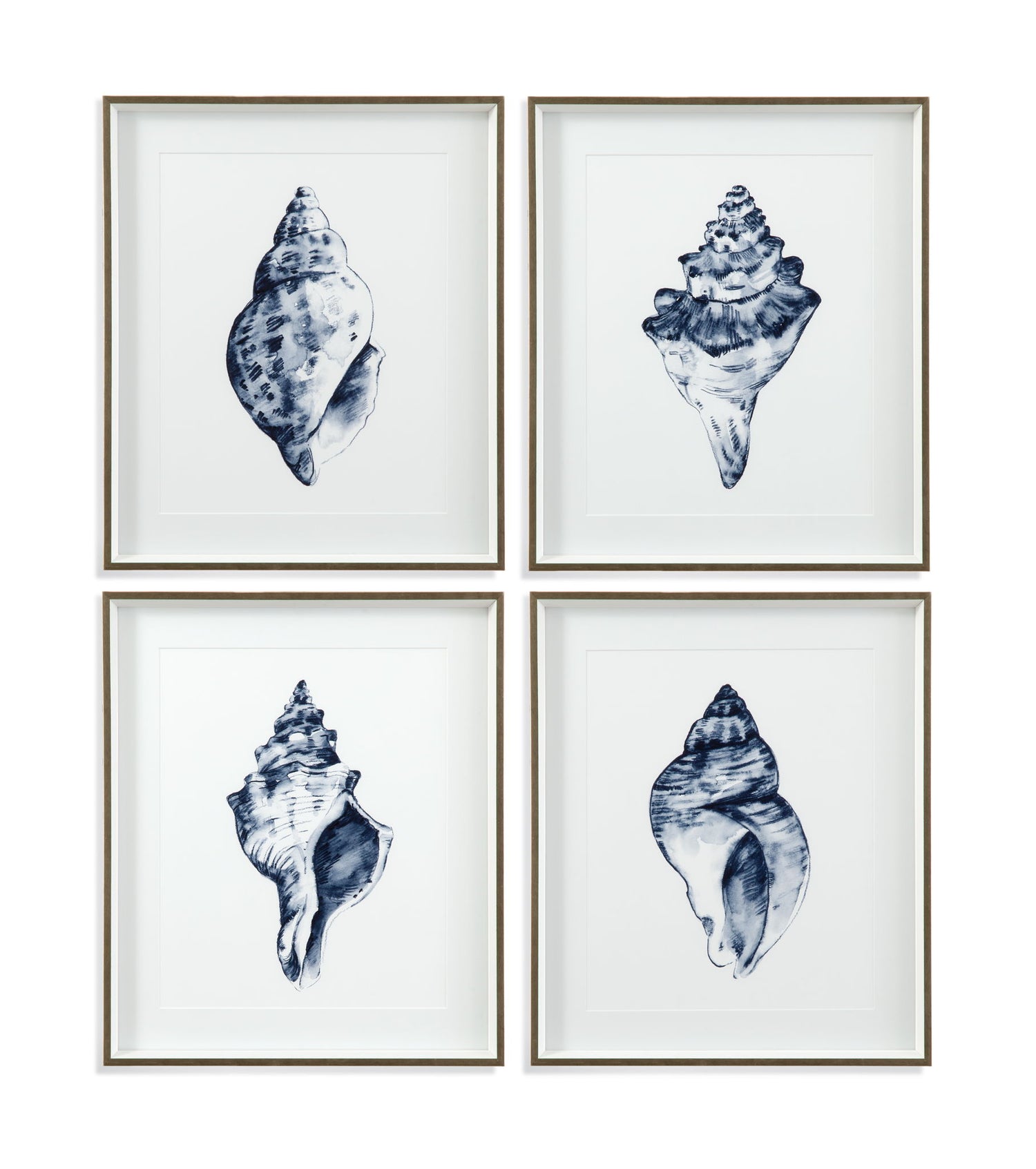 Quiet Conchin Indigo Framed Print (Set of 4) - Blue